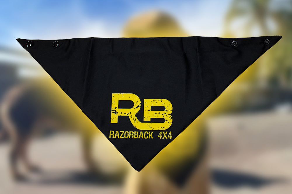 Dog bandana (In stock)